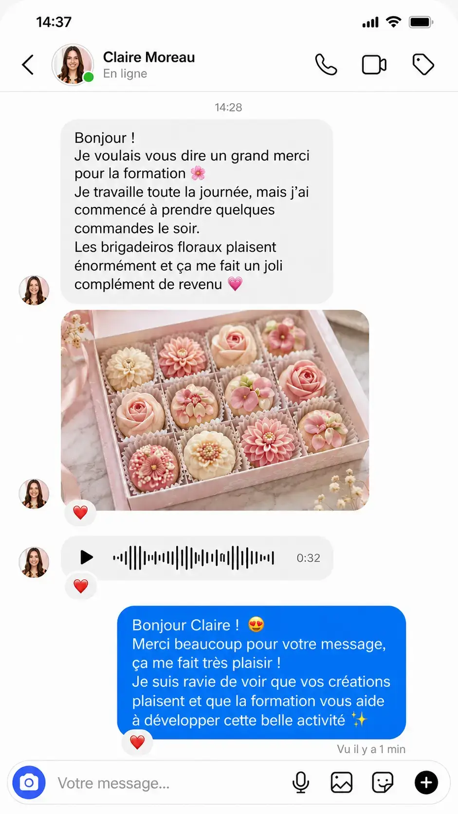 Retour illustratif sur les brigadeiros floraux